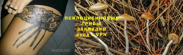 а пвп мука Богданович