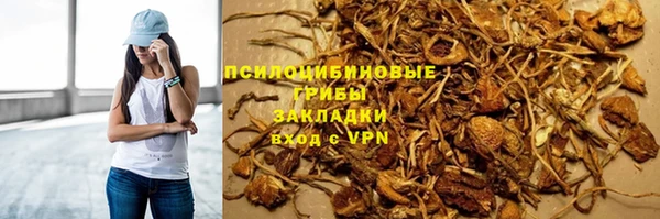 а пвп мука Богданович