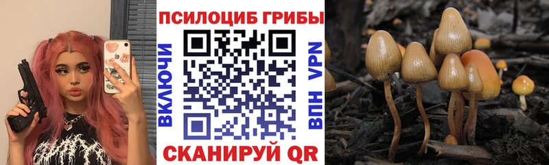 где купить   hydra   Псилоцибиновые грибы GOLDEN TEACHER  Торопец 