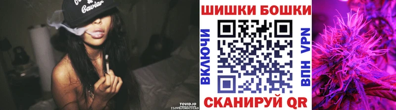 где купить наркоту  Торопец  Марихуана сатива 